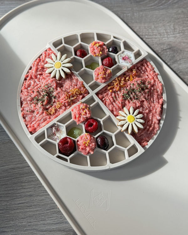 Lick Mats 101: The Secret to a Calmer, Happier Dog