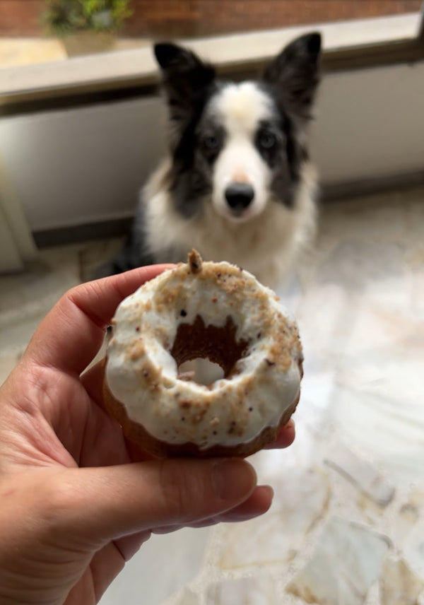 Homemade Gluten-Free Dog Donuts (with Apple, Coconut & Peanut Butter)