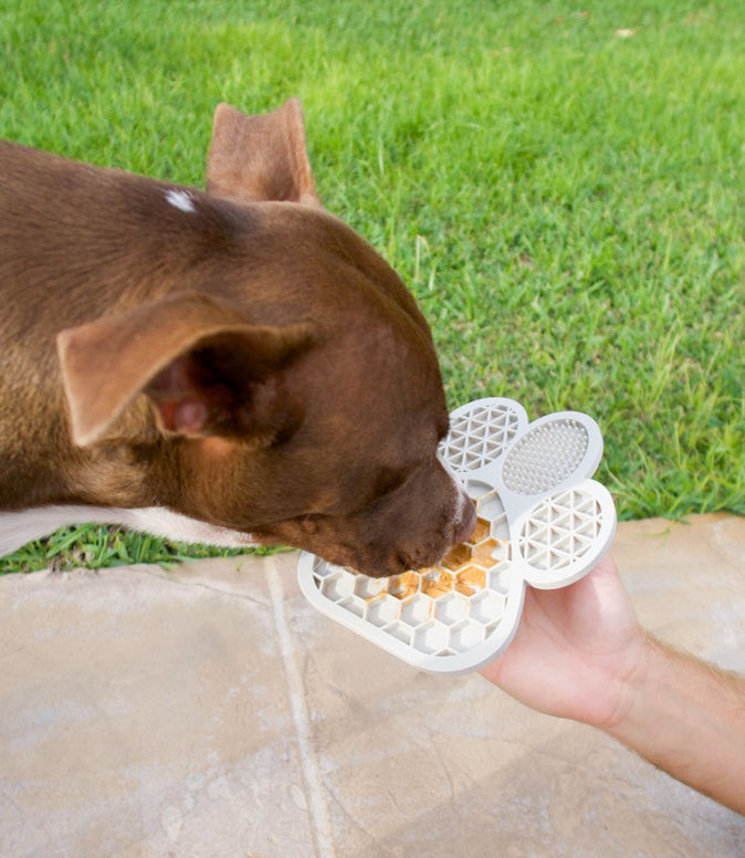 Lick Mats 101: The Secret to a Calmer, Happier Dog