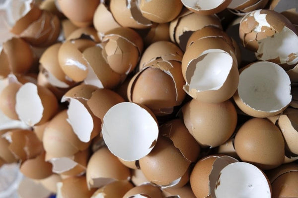 Eggshells for Dogs: The Surprising Superfood in Your Kitchen