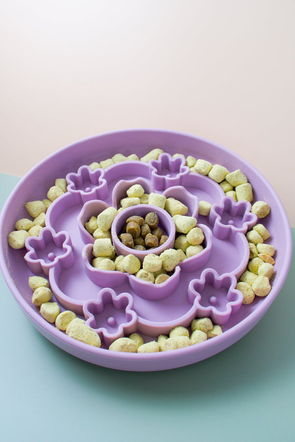 Slow Feeders Are a Lifesaver