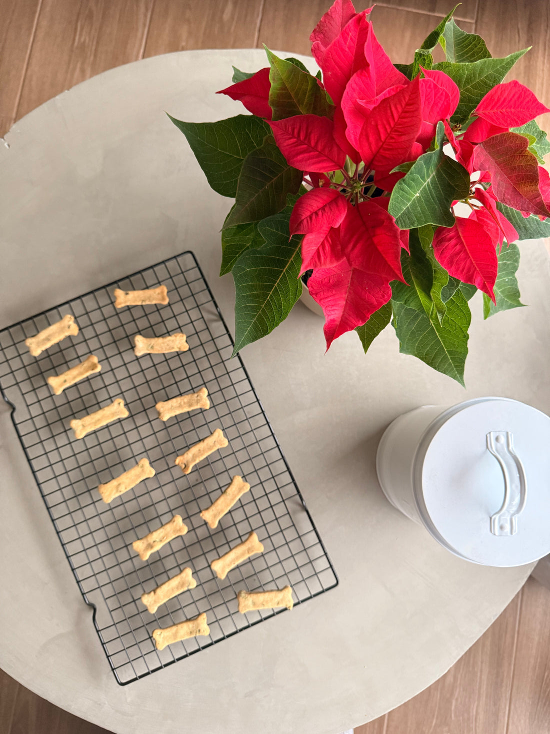 Homemade Holiday Dog Cookies (with Fresh Mint!)