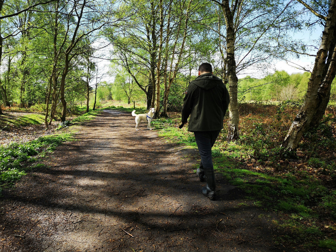 The Spring Reset: Refreshing Your Dog’s Routine for the New Season