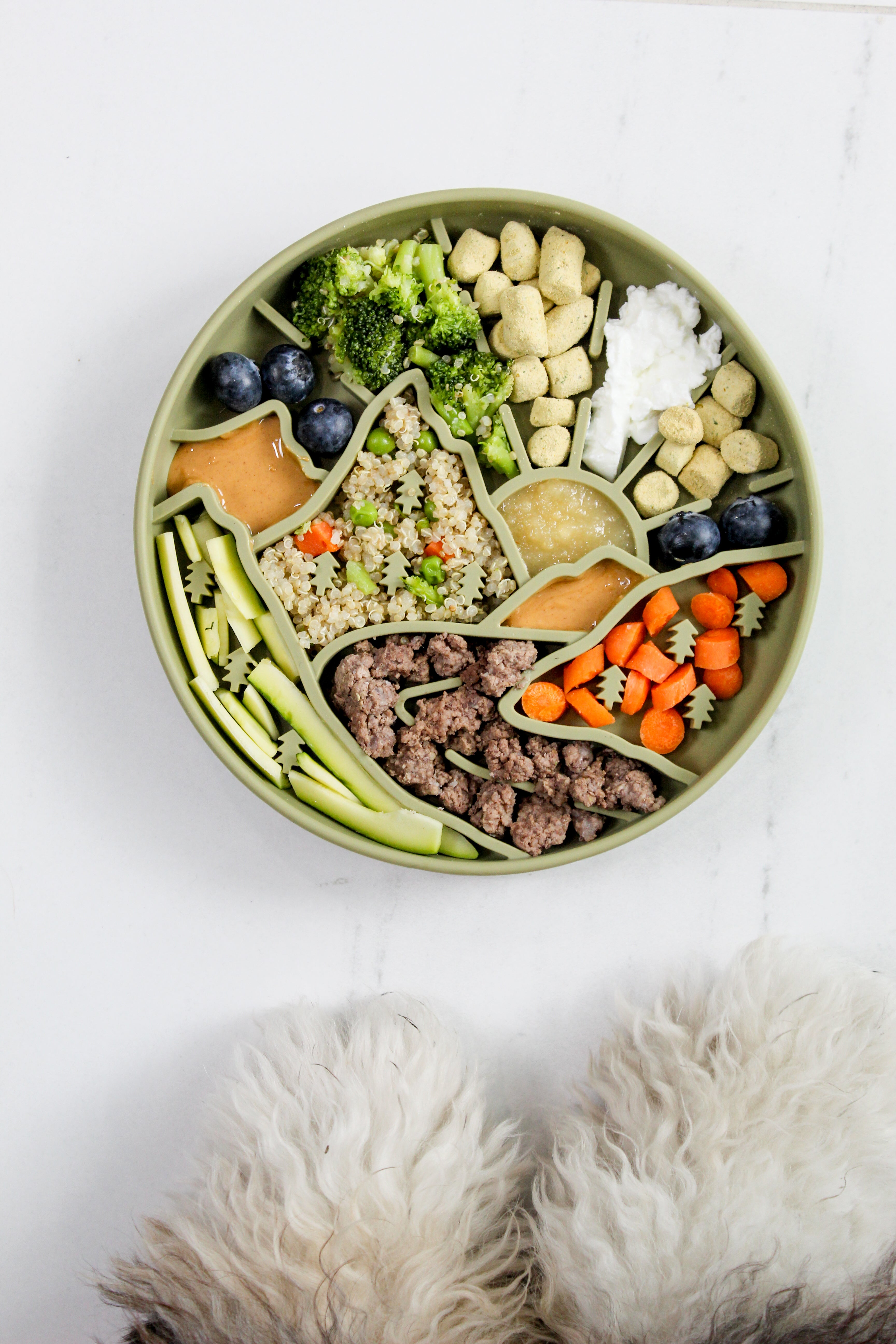 Slow Feeder Dog Bowls