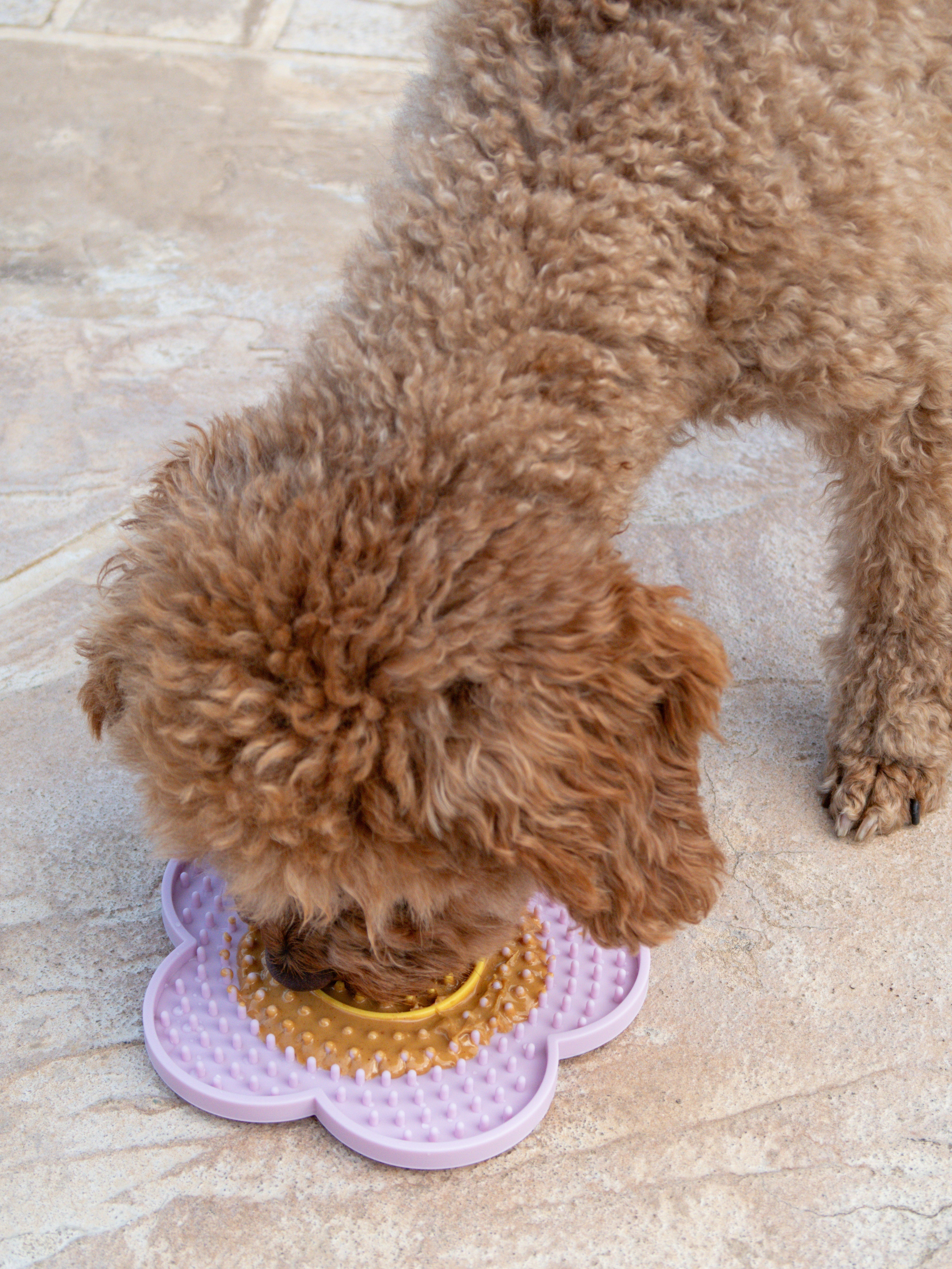 Enrichment Lick Mats