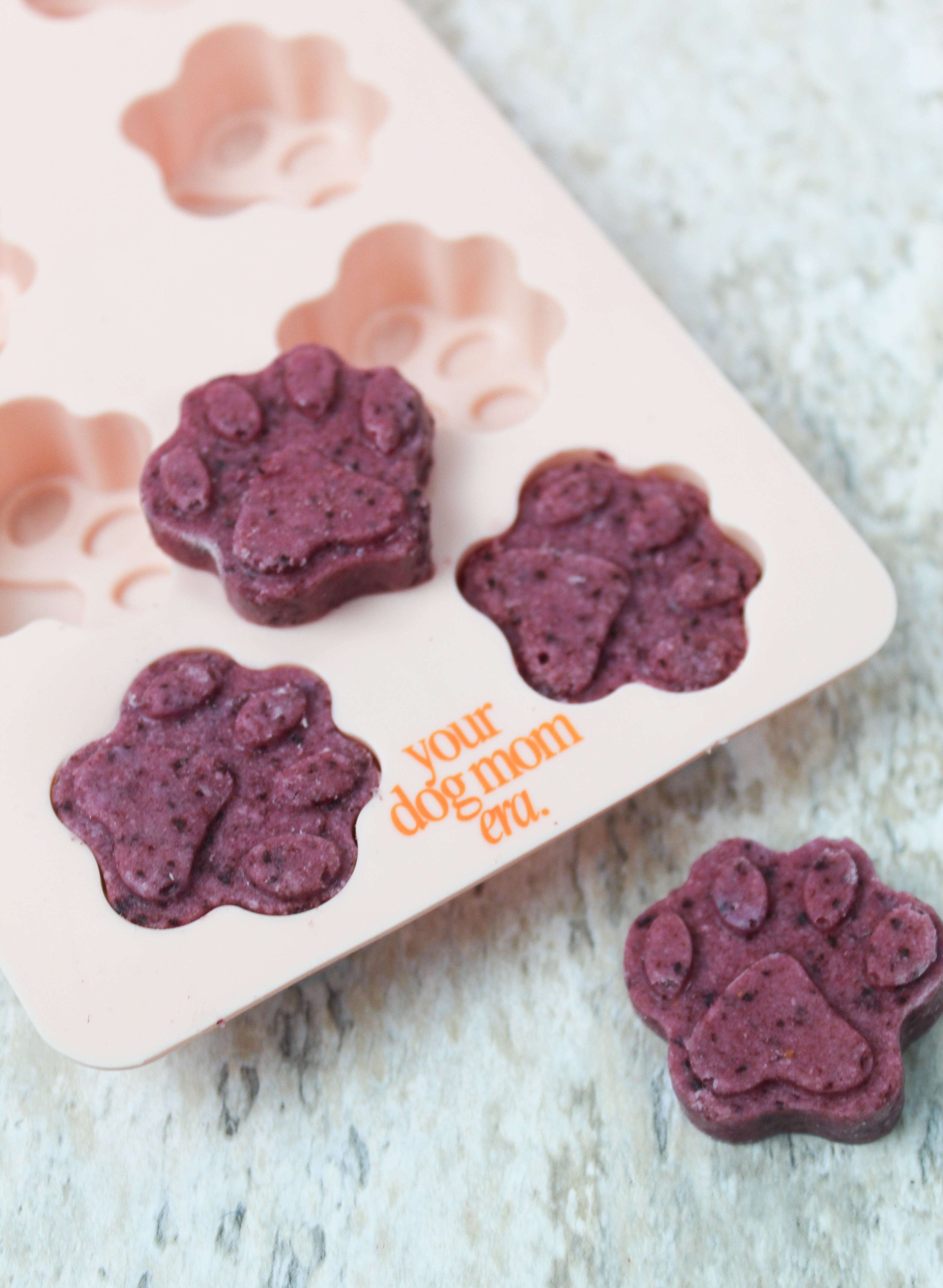Dog Treat Molds